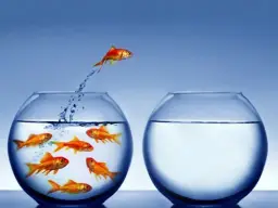 foto de Frases de Atitude