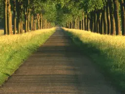 foto de Frases de Caminho
