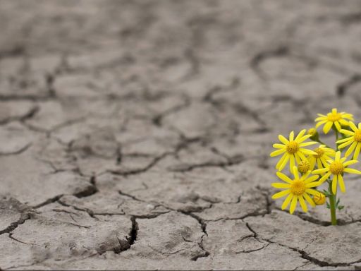 Frases de Esperança