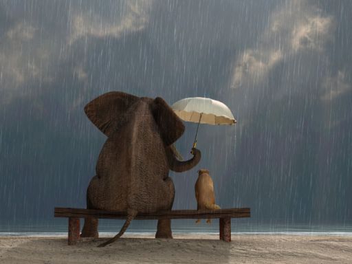 Frases de Generosidade