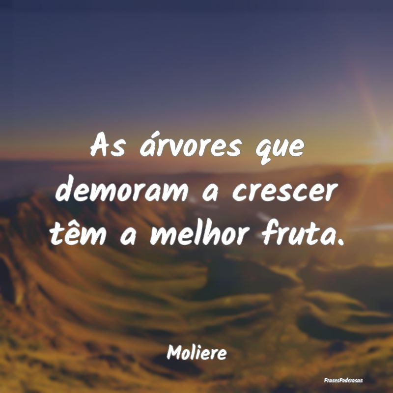 As árvores que demoram a crescer têm a melhor fr...