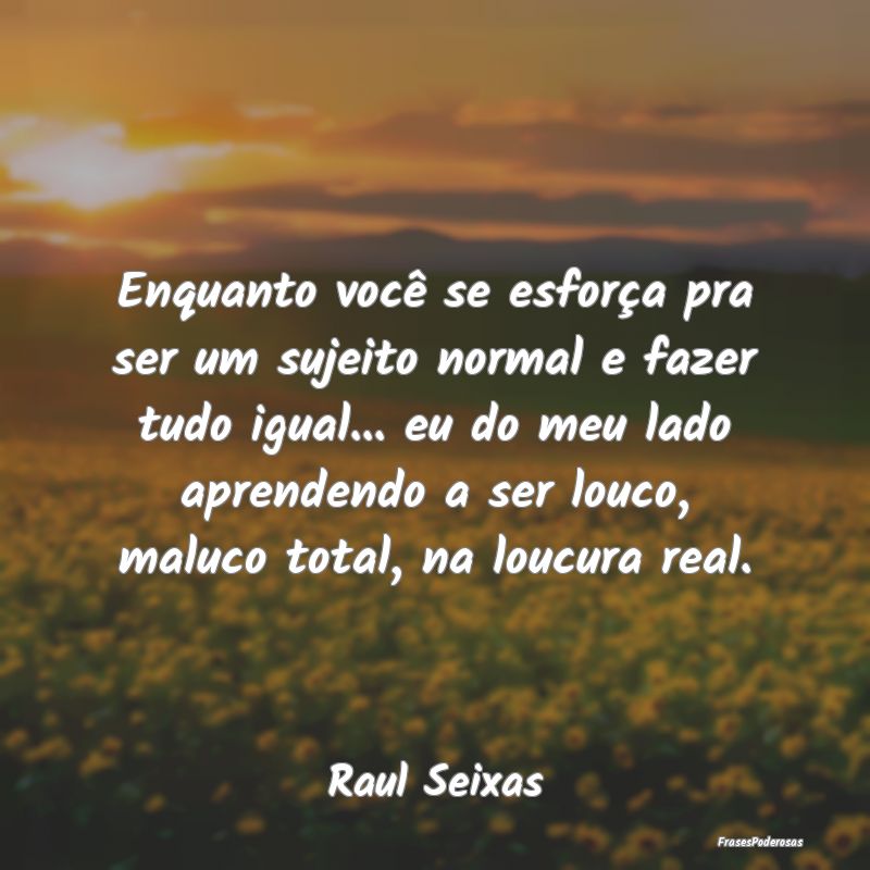 Enquanto você se esforça pra ser um sujeito norm... Enquanto você se esforça pra ser um sujeito norm...