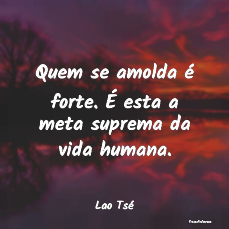 Quem se amolda é forte. É esta a meta suprema da...