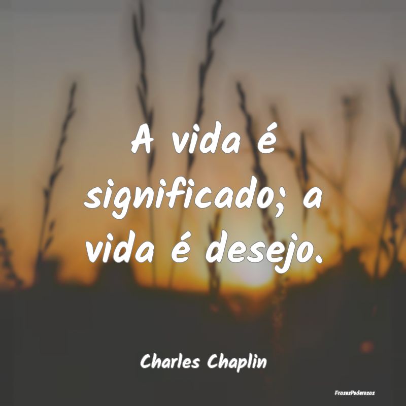 A vida é significado; a vida é desejo....