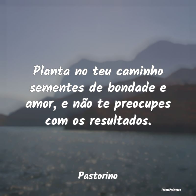 Planta no teu caminho sementes de bondade e amor, ...