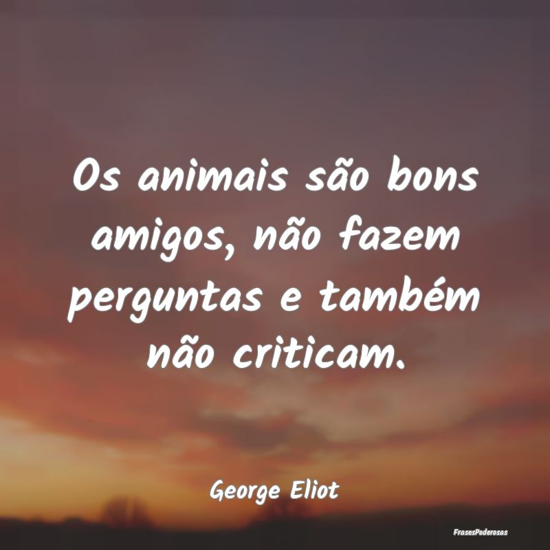 Os animais são bons amigos, não fazem perguntas ...