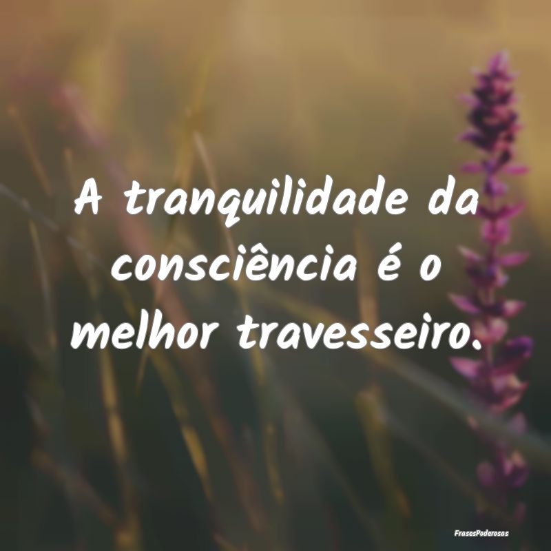 A tranquilidade da consciência é o melhor traves...