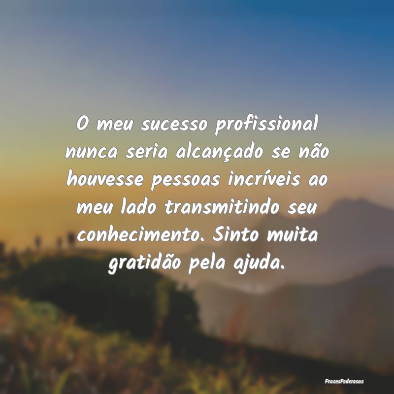 O meu sucesso profissional nunca seria alcançado ... O meu sucesso profissional nunca seria alcançado ...