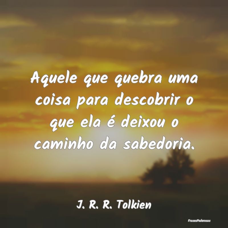 Aquele que quebra uma coisa para descobrir o que e...