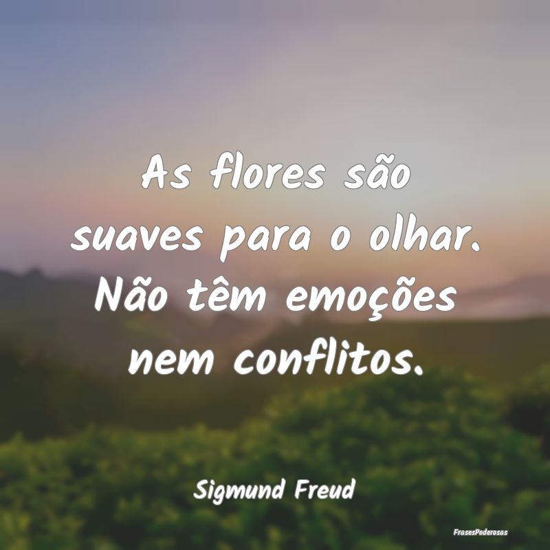 As flores são suaves para o olhar. Não têm emo...