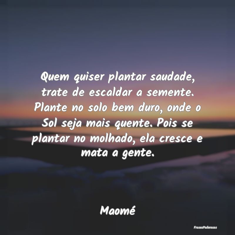 Quem quiser plantar saudade, trate de escaldar a s... Quem quiser plantar saudade, trate de escaldar a s...