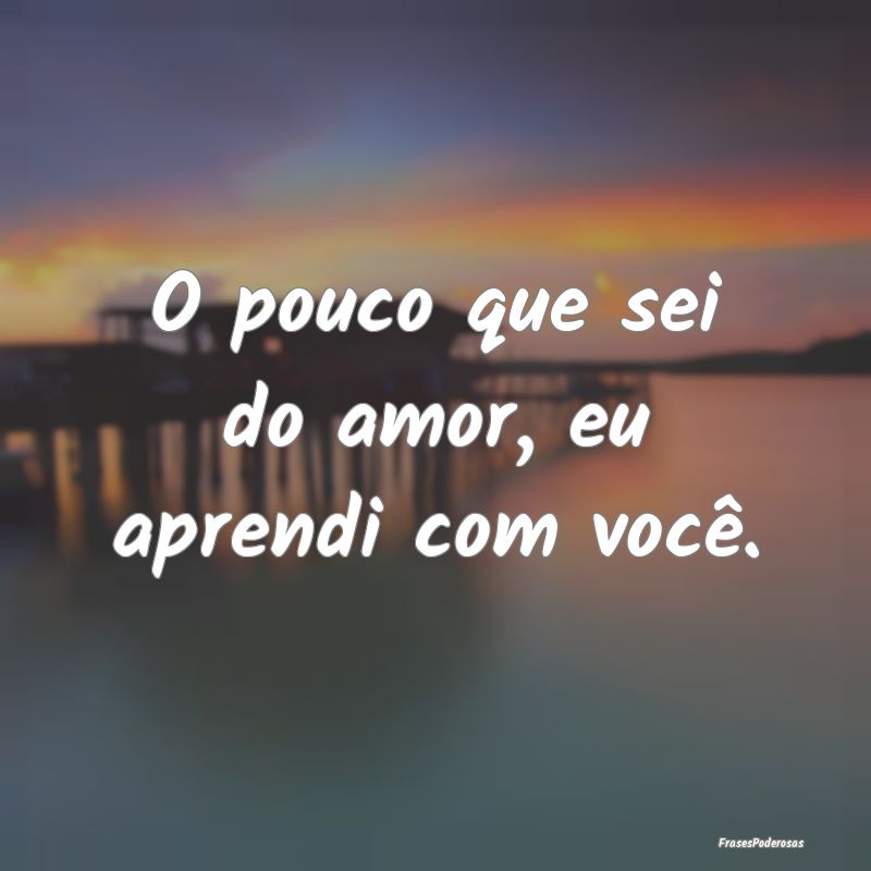 O pouco que sei do amor, eu aprendi com você.
...