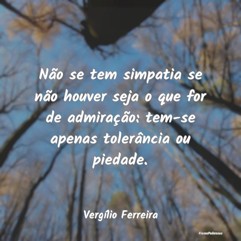 Não se tem simpatia se não houver seja o que for... Não se tem simpatia se não houver seja o que for...