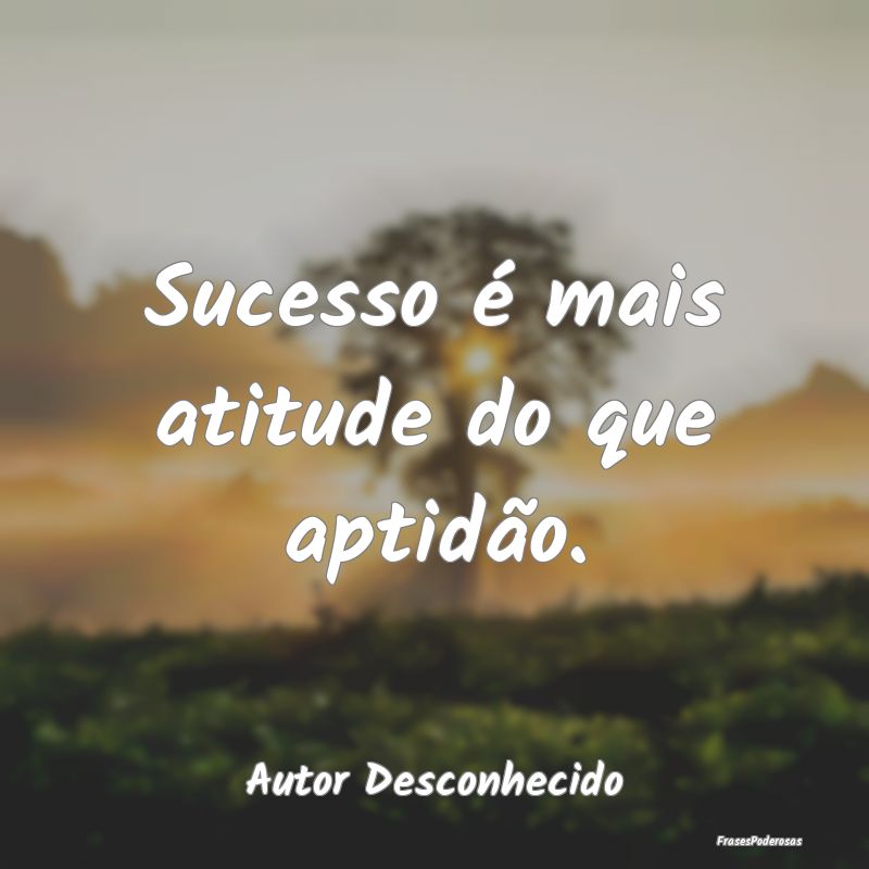 Sucesso é mais atitude do que aptidão....