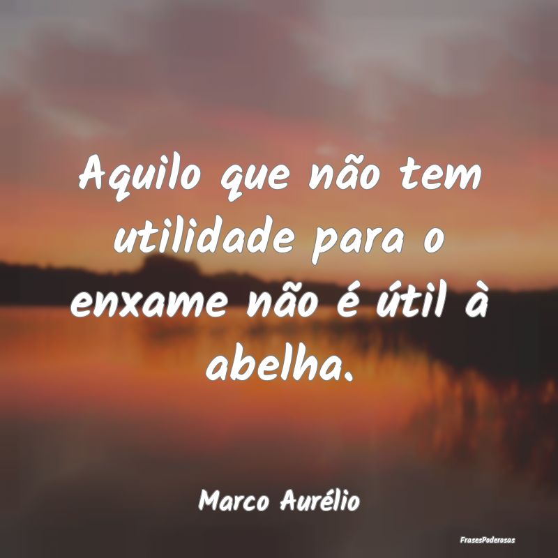 Aquilo que não tem utilidade para o enxame não ...