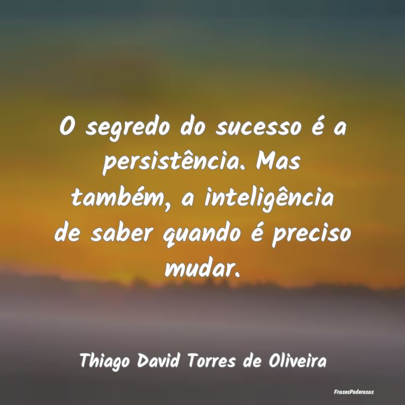 O segredo do sucesso é a persistência. Mas tamb...