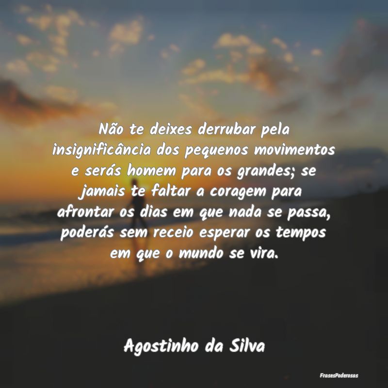 Não te deixes derrubar pela insignificância dos ...