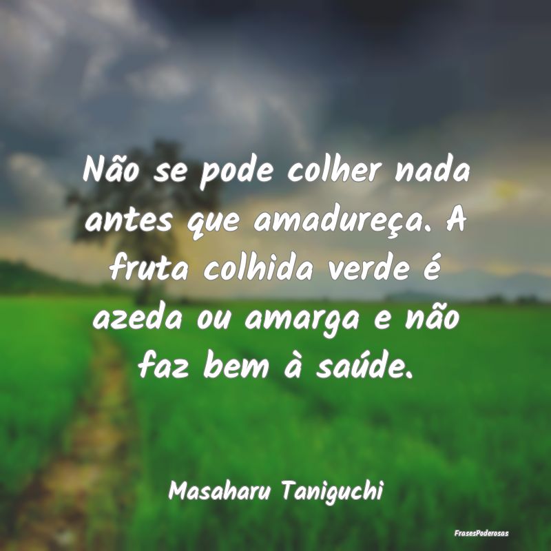 Não se pode colher nada antes que amadureça. A f...