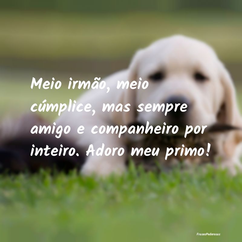Meio irmão, meio cúmplice, mas sempre amigo e co...