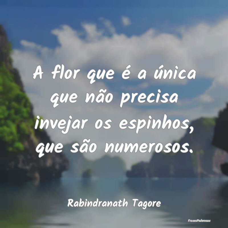A flor que é a única que não precisa invejar os...