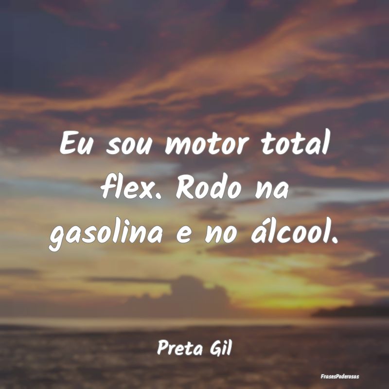 Eu sou motor total flex. Rodo na gasolina e no ál...