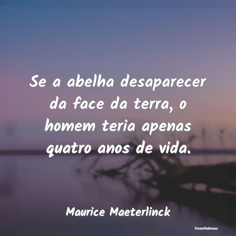 Se a abelha desaparecer da face da terra, o homem ...