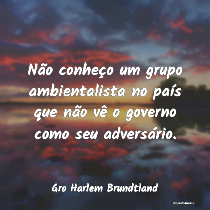 Não conheço um grupo ambientalista no país que ...