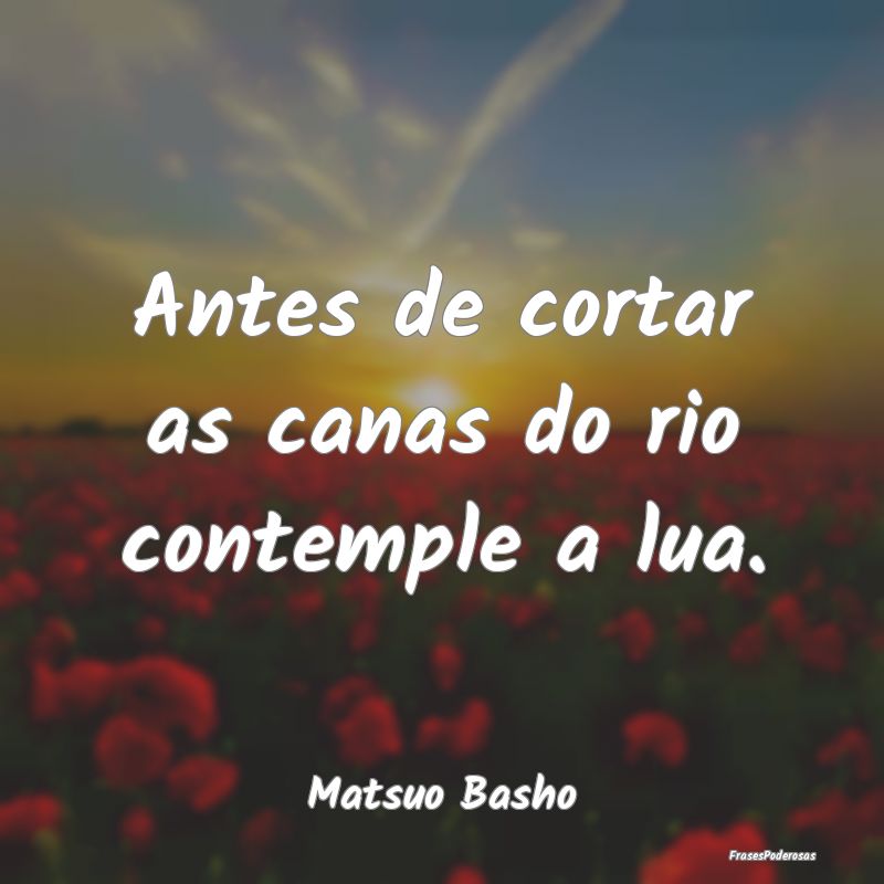 Antes de cortar as canas do rio contemple a lua....