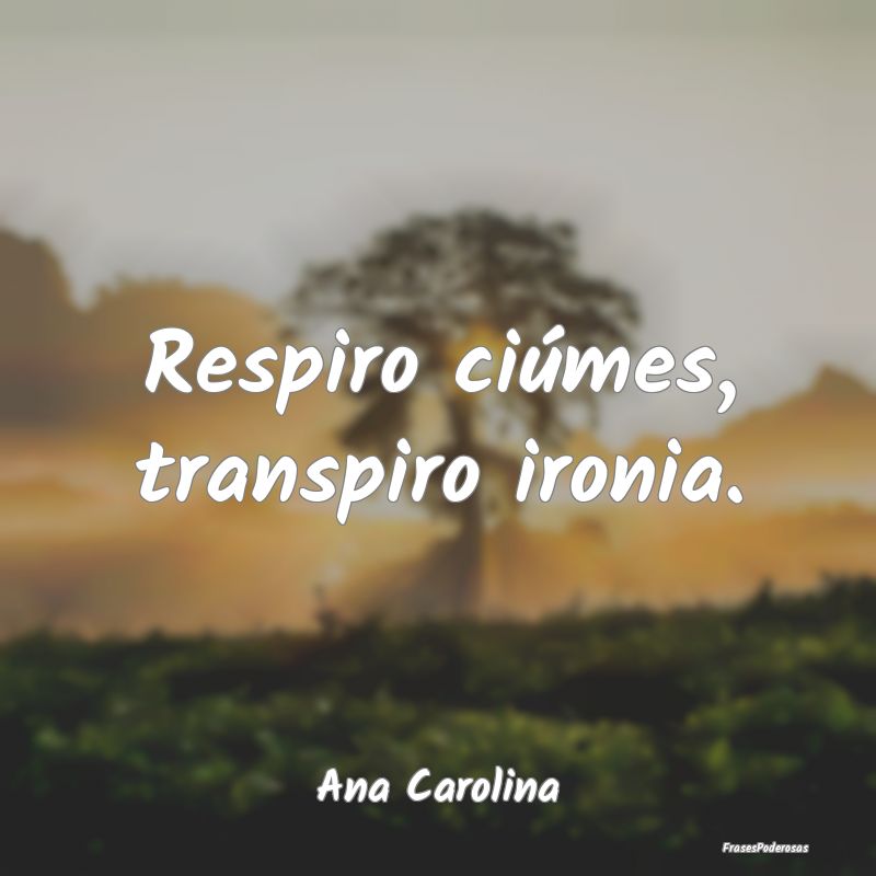 Respiro ciúmes, transpiro ironia....