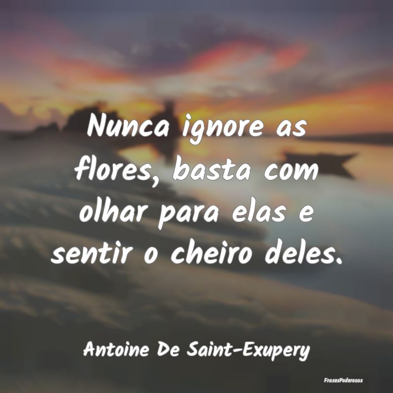 Nunca ignore as flores, basta com olhar para elas ...