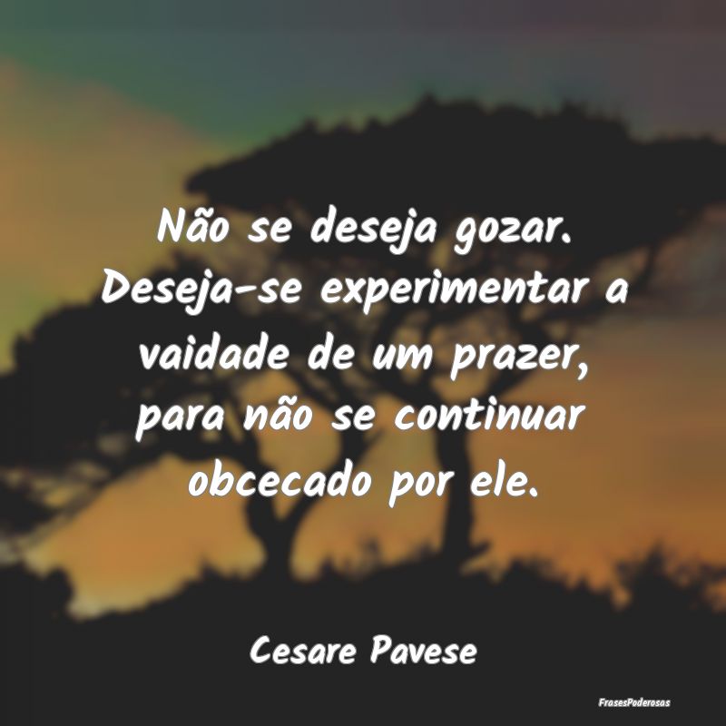 Não se deseja gozar. Deseja-se experimentar a vai... Não se deseja gozar. Deseja-se experimentar a vai...