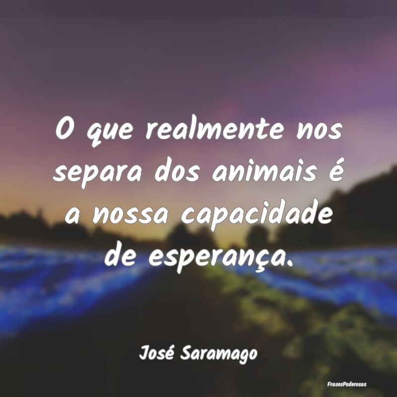 Frases de Esperança - O que realmente nos separa dos animais é a nossa ...