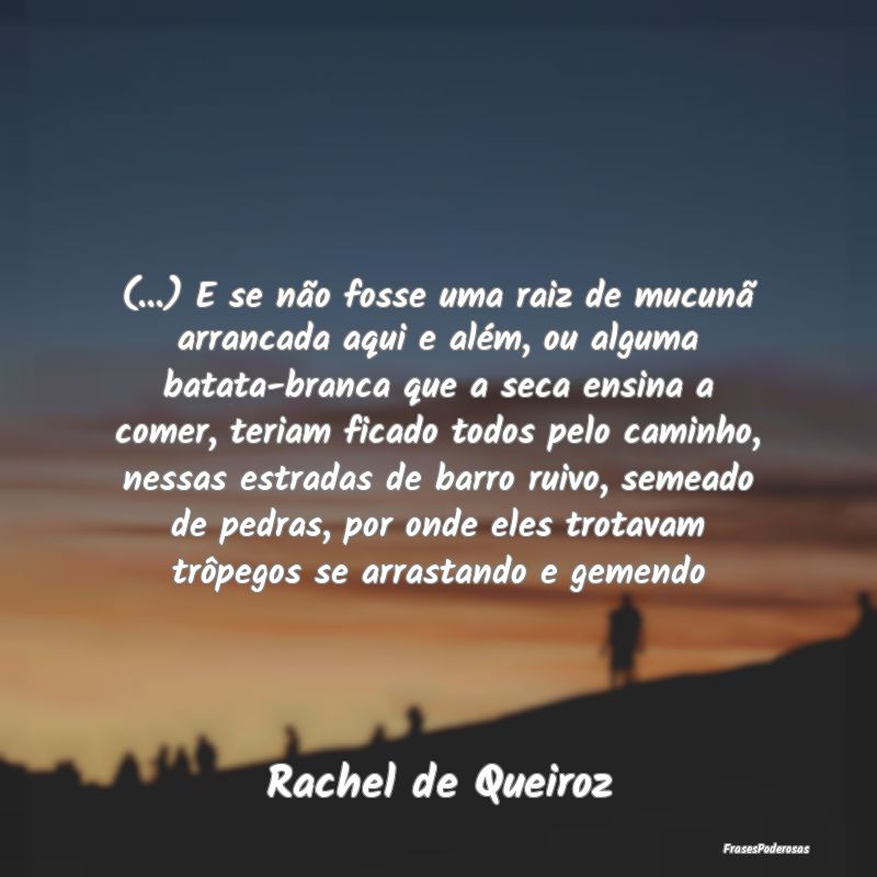 (...) E se não fosse uma raiz de mucunã arrancad... (...) E se não fosse uma raiz de mucunã arrancad...