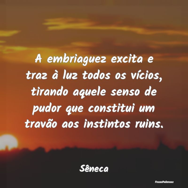 A embriaguez excita e traz à luz todos os vícios...