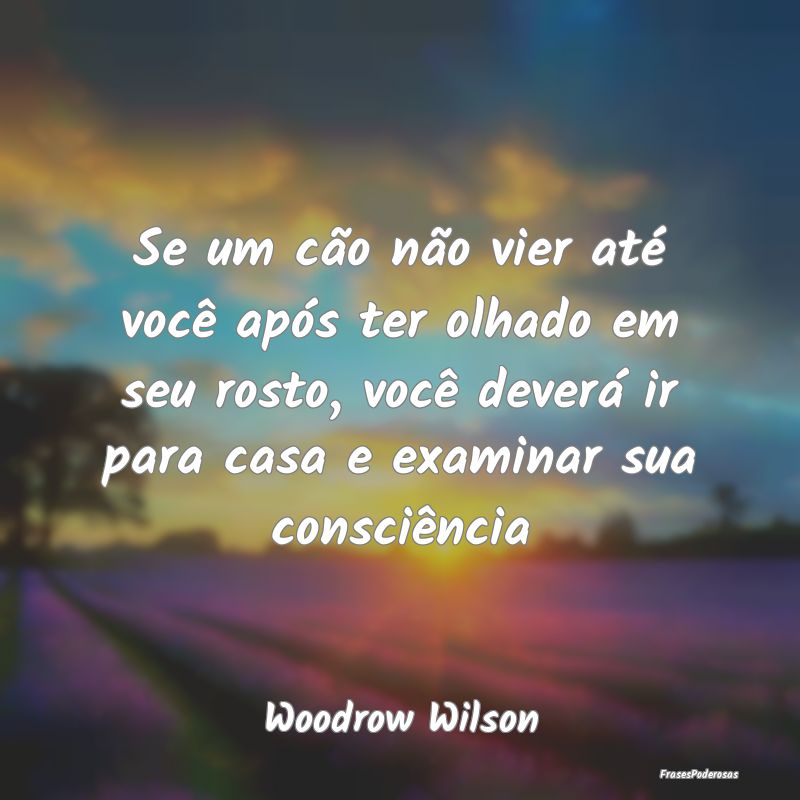 Se um cão não vier até você após ter olhado e... Se um cão não vier até você após ter olhado e...