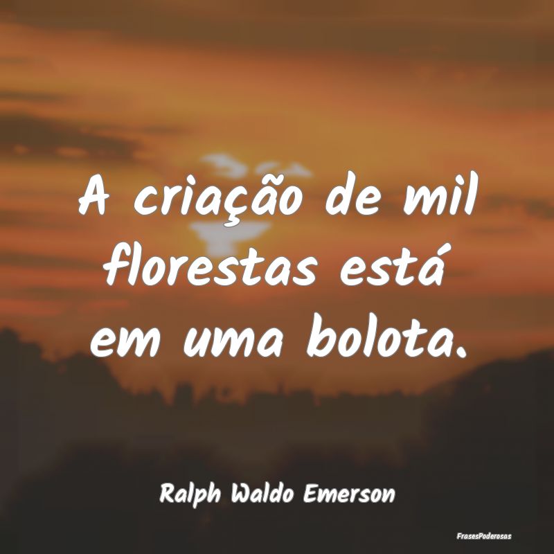 A criação de mil florestas está em uma bolota....