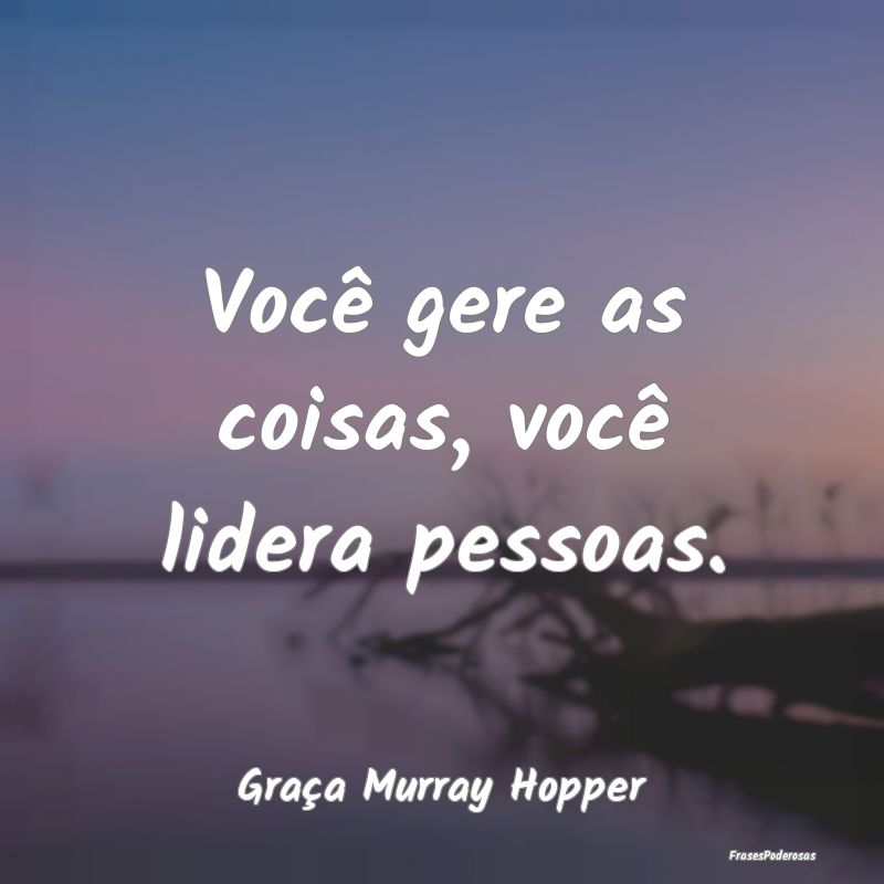 Frases de Liderança - Você gere as coisas, você lidera pessoas....