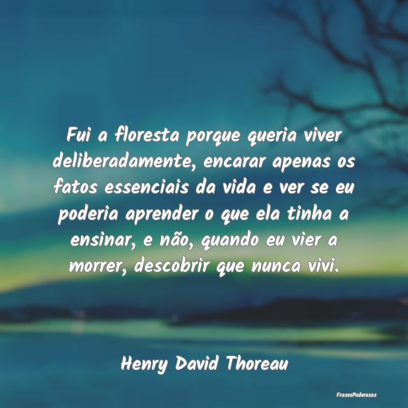 Fui a floresta porque queria viver deliberadamente... Fui a floresta porque queria viver deliberadamente...
