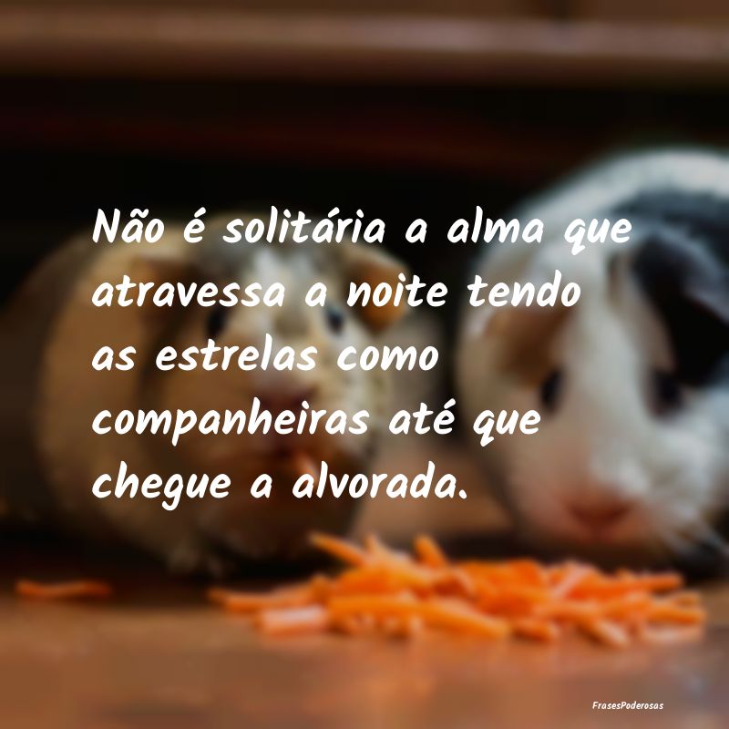 Não é solitária a alma que atravessa a noite te... Não é solitária a alma que atravessa a noite te...