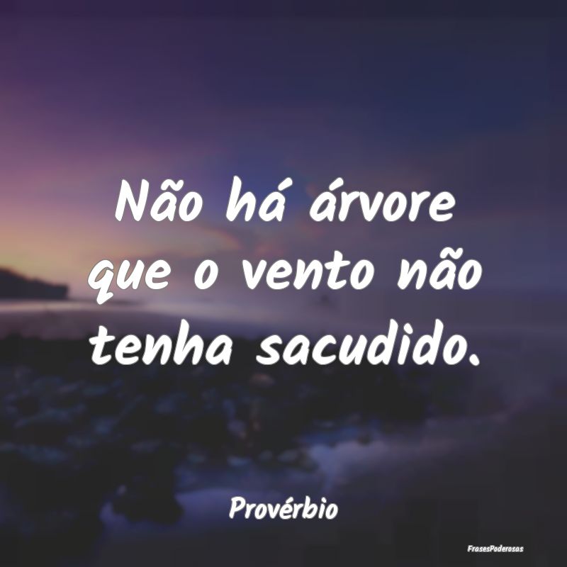 Não há árvore que o vento não tenha sacudido....