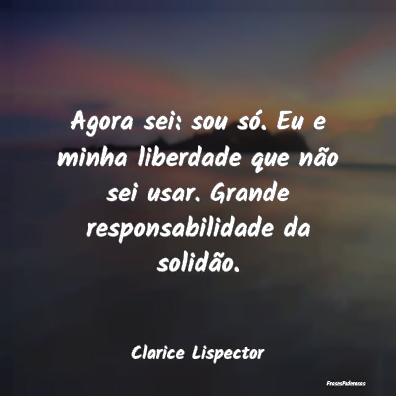 Agora sei: sou só. Eu e minha liberdade que não ... Agora sei: sou só. Eu e minha liberdade que não ...