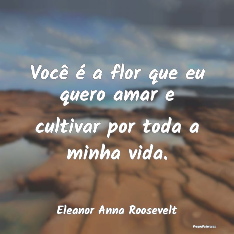 Você é a flor que eu quero amar e cultivar por t...