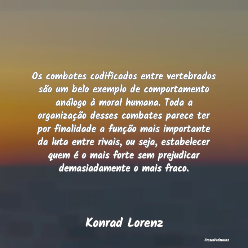 Os combates codificados entre vertebrados são um ...