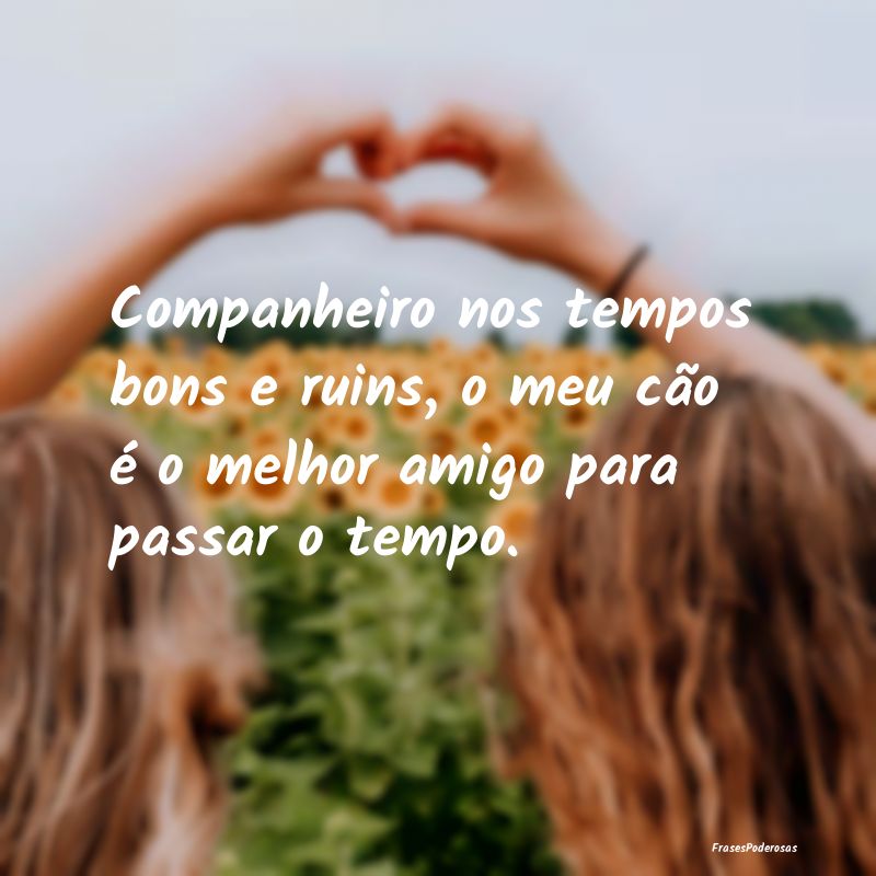 Companheiro nos tempos bons e ruins, o meu cão é...