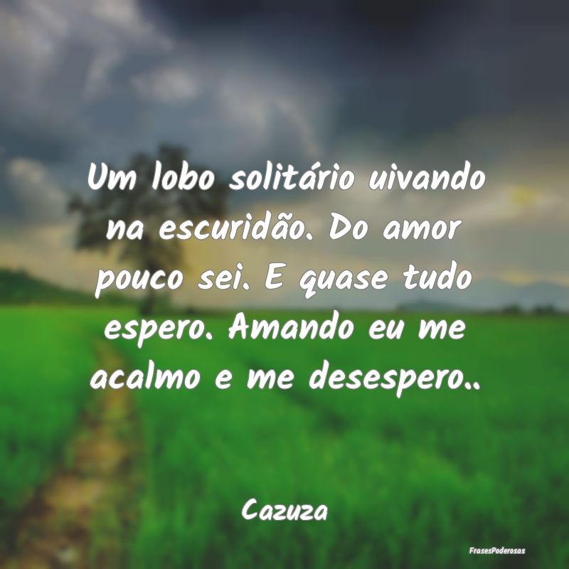 Um lobo solitário uivando na escuridão. Do amor ... Um lobo solitário uivando na escuridão. Do amor ...