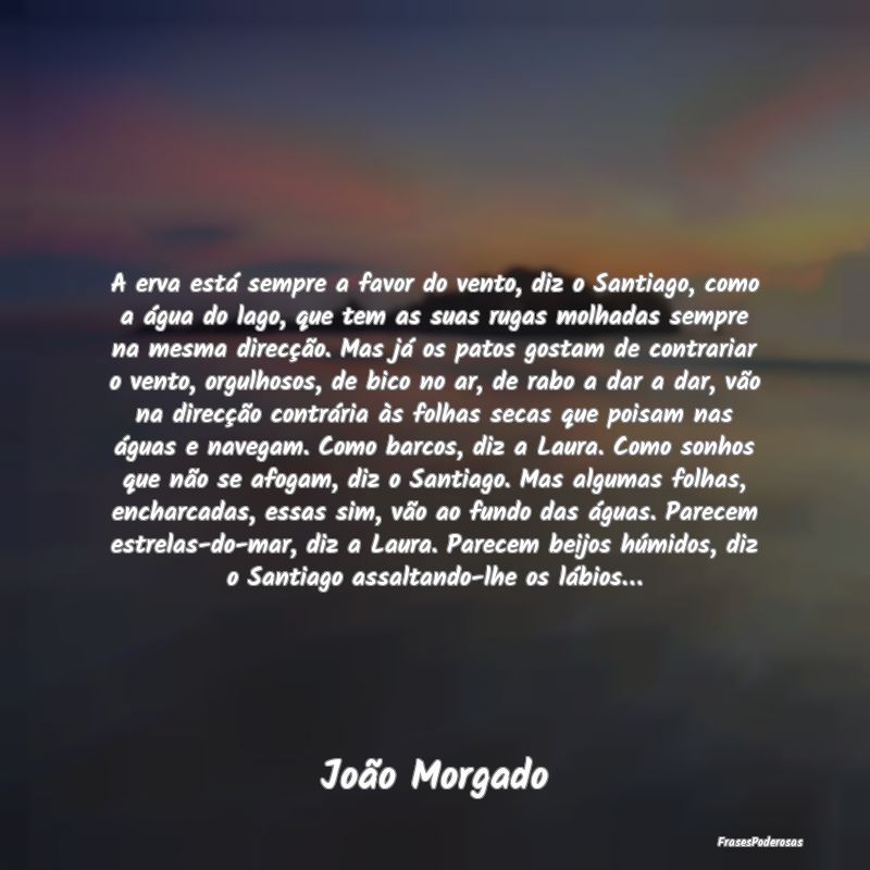 A erva está sempre a favor do vento, diz o Santia... A erva está sempre a favor do vento, diz o Santia...