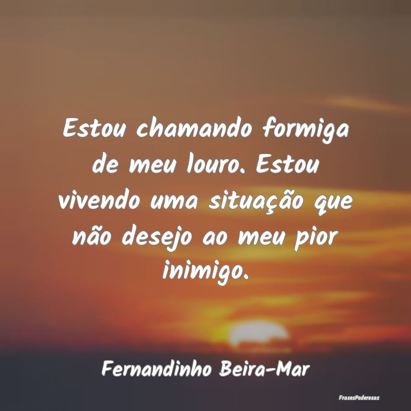 Estou chamando formiga de meu louro. Estou vivendo... Estou chamando formiga de meu louro. Estou vivendo...