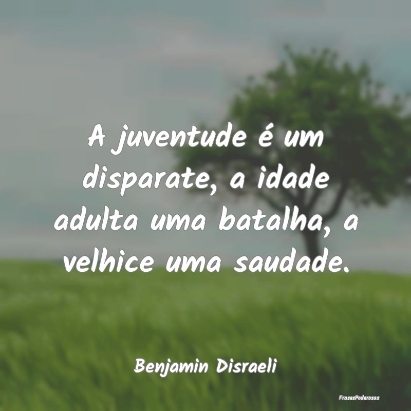 A juventude é um disparate, a idade adulta uma ba...