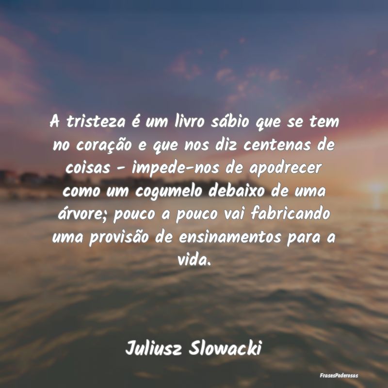 A tristeza é um livro sábio que se tem no coraç... A tristeza é um livro sábio que se tem no coraç...