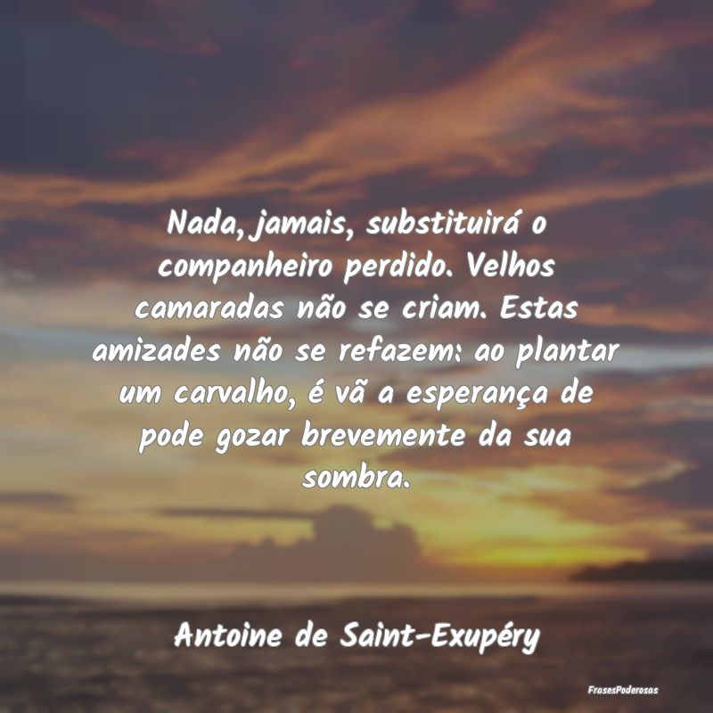 Nada, jamais, substituirá o companheiro perdido. ... Nada, jamais, substituirá o companheiro perdido. ...
